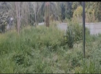  Commercial Land for Sale in Chavakkad, Thrissur