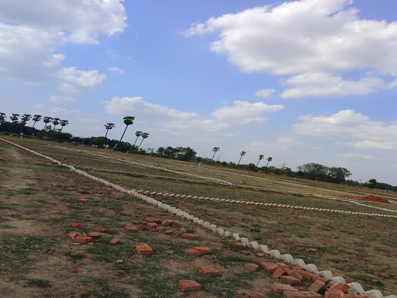  1200 Sq.ft. Residential Plot for Sale in Bihta, Patna