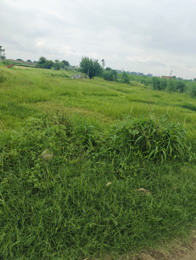  Industrial Land 6500 Sq. Yards for Sale in Subhanpur Village, Baghpat