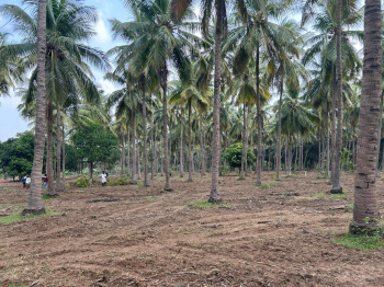  Agricultural Land for Sale in K. K. Nagar, Chennai