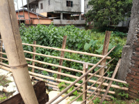  Residential Plot for Sale in Mahabhairab, Tezpur