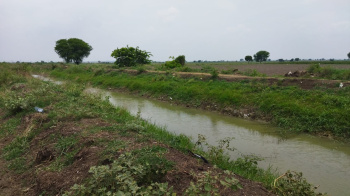 Agricultural Land for Sale in Gurazala, Guntur
