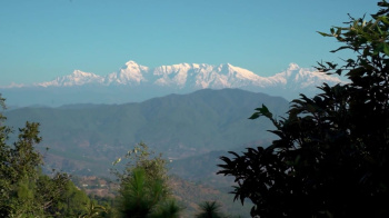  Residential Plot for Sale in Kausani, Almora