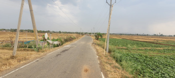  Commercial Land for Sale in Sherghati, Gaya