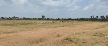  Residential Plot for Sale in Moolakaraipatti, Tirunelveli