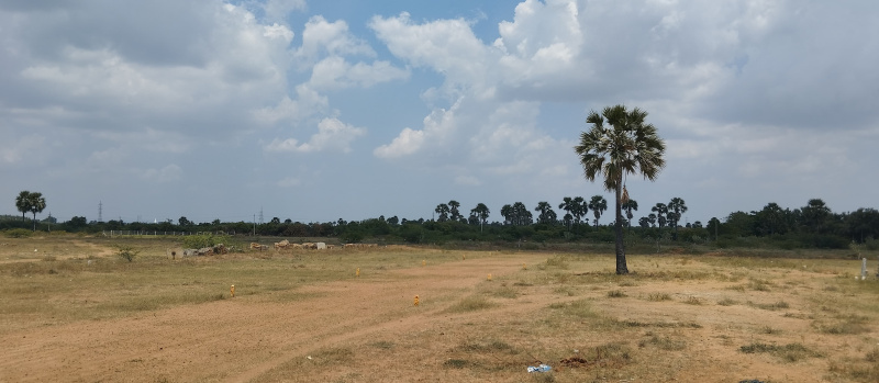  Residential Plot 6 Cent for Sale in Moolakaraipatti, Tirunelveli