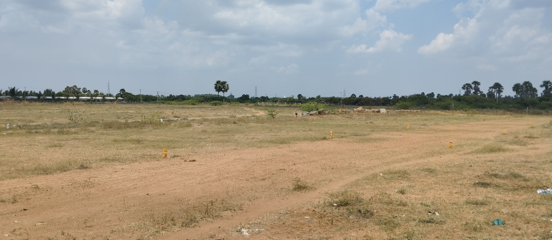  Residential Plot 6 Cent for Sale in Moolakaraipatti, Tirunelveli