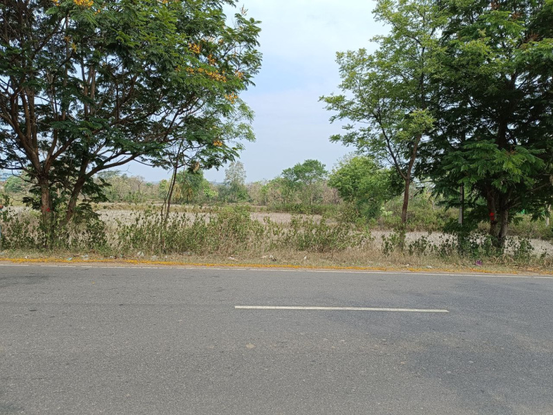  Agricultural Land 50 Dismil for Sale in Saintala, Balangir