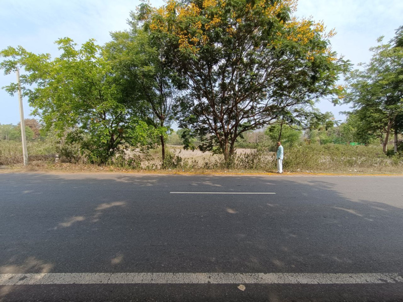  Agricultural Land 50 Dismil for Sale in Saintala, Balangir