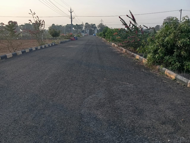  Residential Plot 160 Sq. Yards for Sale in Gandepalli, East Godavari