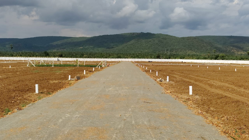  Residential Plot 150 Sq. Yards for Sale in Annavaram, Kakinada