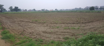  Agricultural Land for Sale in Sikri, Faridabad