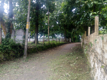  Residential Plot for Sale in Akathiyoor, Thrissur