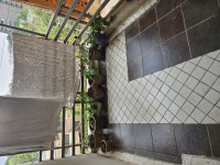 3 BHK Flat for Sale in Opp zydex, Vadodara, Vadodara