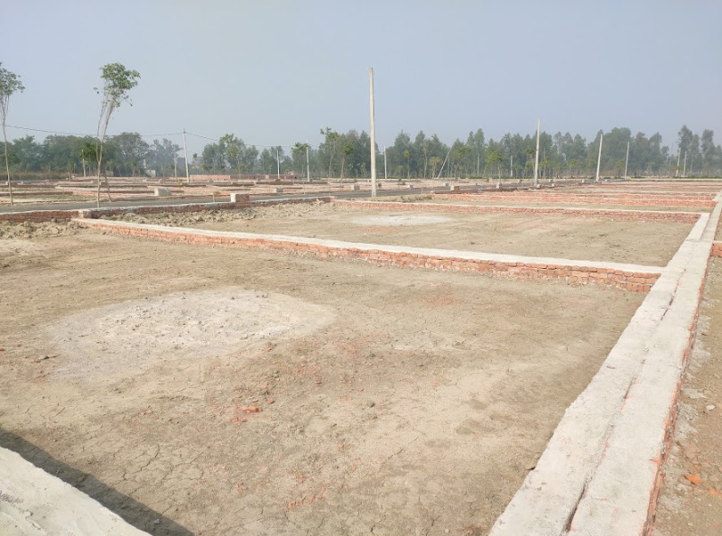  Residential Plot 800 Sq.ft. for Sale in Mohanlalganj, Lucknow