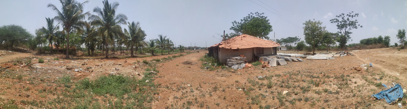  Agricultural Land 2 Acre for Sale in Anagodu, Davanagere