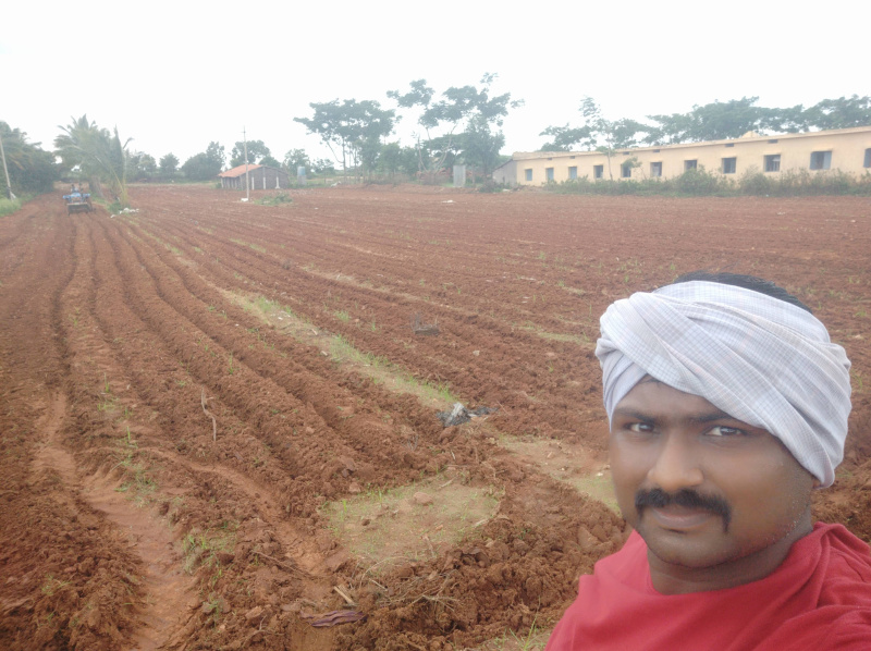  Agricultural Land 2 Acre for Sale in Anagodu, Davanagere