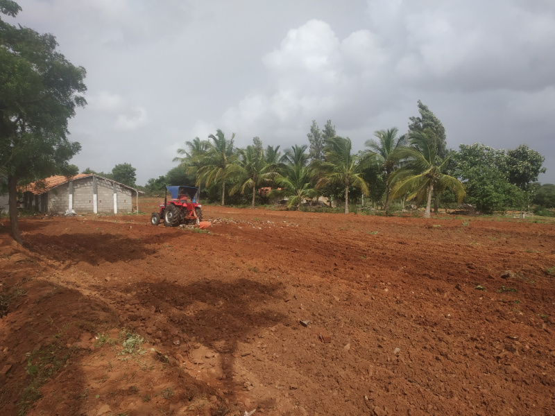  Agricultural Land 2 Acre for Sale in Anagodu, Davanagere