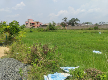  Residential Plot for Sale in Binika, Subarnapur