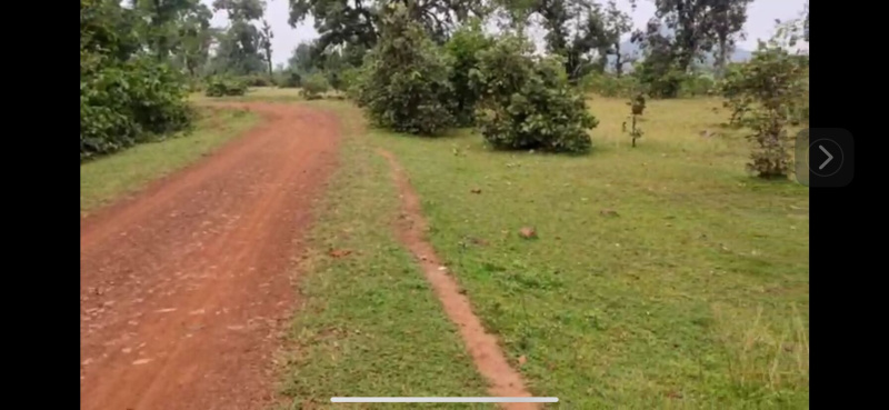  2 Acre Agricultural/Farm Land for Sale in Sipat, Bilaspur