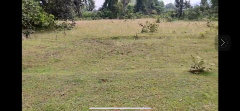  2 Acre Agricultural/Farm Land for Sale in Sipat, Bilaspur