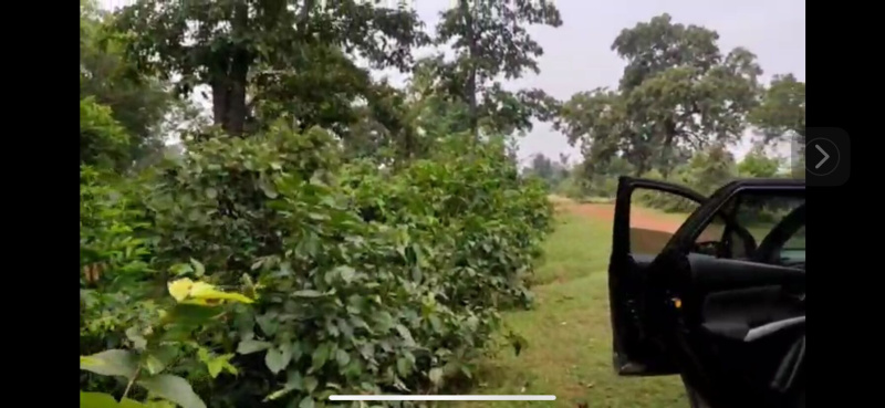  2 Acre Agricultural/Farm Land for Sale in Sipat, Bilaspur