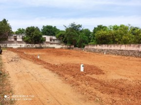  Residential Plot for Sale in Athikulam, Madurai