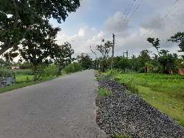  Agricultural Land for Sale in Diamond Harbour, South 24 Parganas