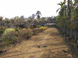  Commercial Land for Sale in Diamond Harbour, South 24 Parganas