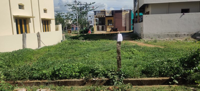  Residential Plot 1240 Sq.ft. for Sale in Santhamarahalli, Chamrajnagar