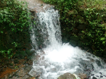  Agricultural Land for Sale in Bandadka, Kasaragod