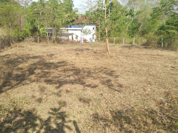  Residential Plot for Sale in Kalepully, Palakkad