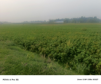  Agricultural Land for Sale in Malbazar, Jalpaiguri