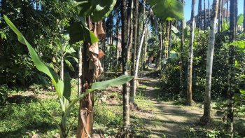  Residential Plot for Sale in Malbazar, Jalpaiguri