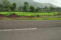  Agricultural Land for Sale in Tangi, Cuttack