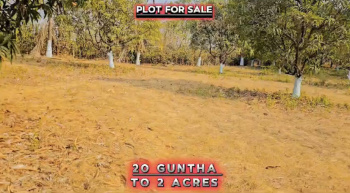  Agricultural Land for Sale in Kalote Mokashi, Raigad