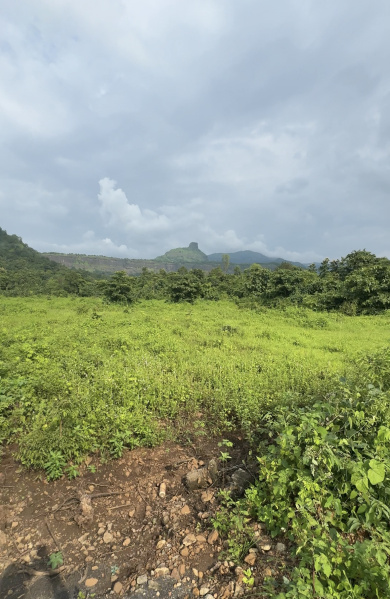  Agricultural Land 80 Guntha for Sale in Karjat, Mumbai