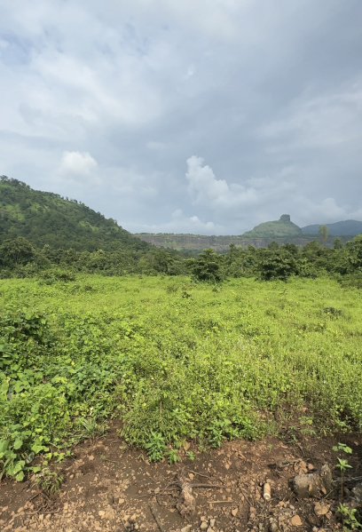  Agricultural Land 80 Guntha for Sale in Karjat, Mumbai