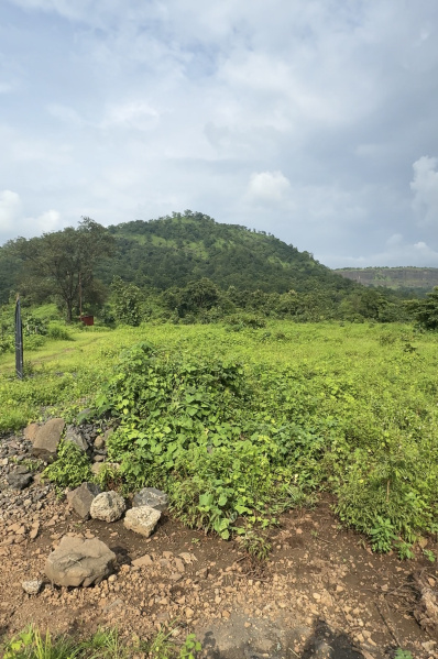  Agricultural Land 80 Guntha for Sale in Karjat, Mumbai