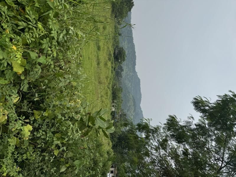  Residential Plot 1 Acre for Sale in Karjat, Mumbai