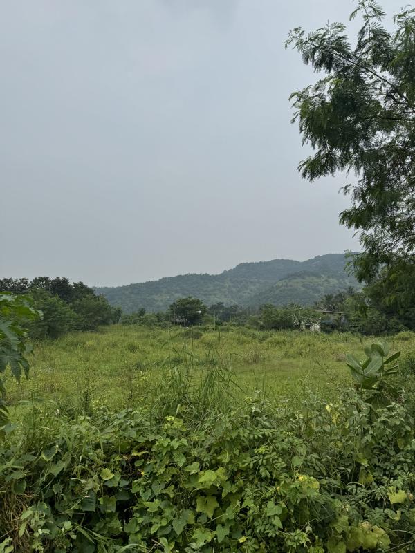  Residential Plot 1 Acre for Sale in Karjat, Mumbai