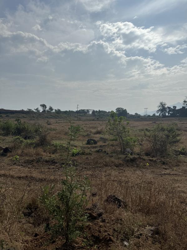  Residential Plot 20 Guntha for Sale in Karjat, Mumbai