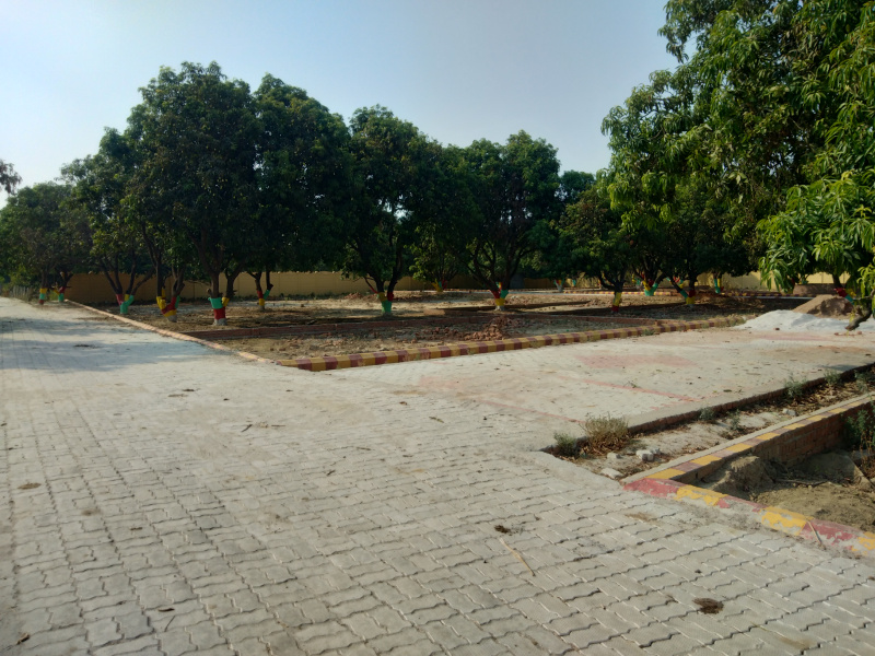  Residential Plot 1250 Sq.ft. for Sale in Bakshi Ka Talab, Lucknow