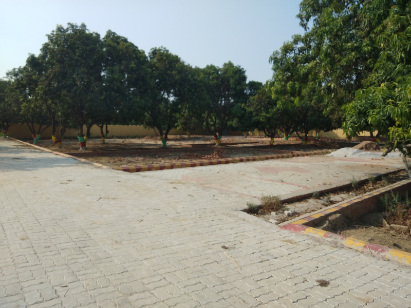  Residential Plot 1250 Sq.ft. for Sale in Bakshi Ka Talab, Lucknow