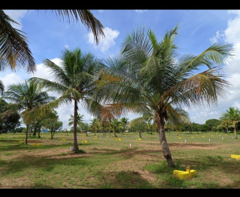  Residential Plot for Sale in Ellapuram, Thiruvallur