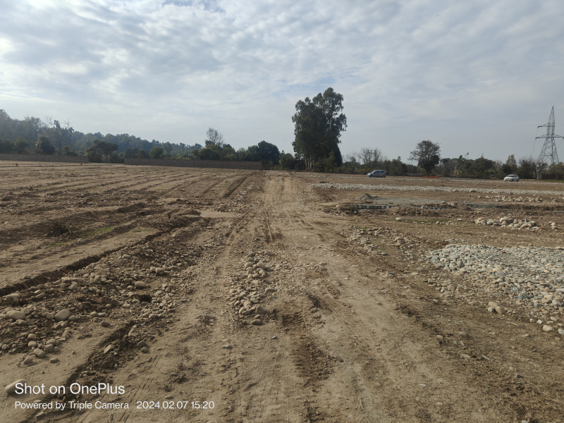  Residential Plot 1125 Sq.ft. for Sale in Dandipur, Dehradun