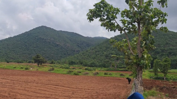  Agricultural Land for Sale in Malleswaram, Bangalore