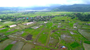  Residential Plot for Sale in Igatpuri, Nashik