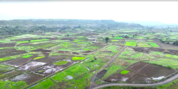  Residential Plot for Sale in Igatpuri, Nashik