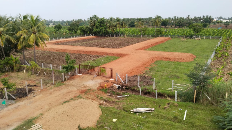  Residential Plot 1000 Sq.ft. for Sale in Woraiyur, Tiruchirappalli